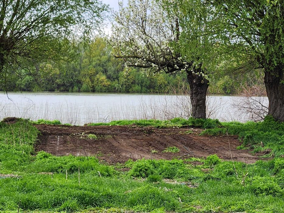 Teren Delta Dunarii – 1.000 mp - Teren Pardina  (Brațul Chilia)