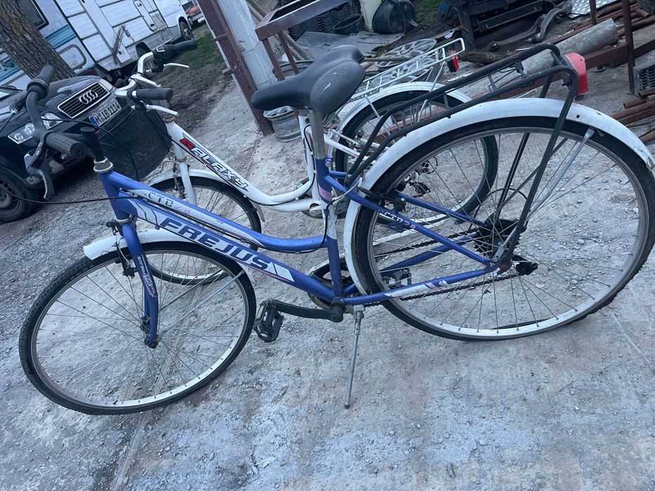 Biciclete de damă