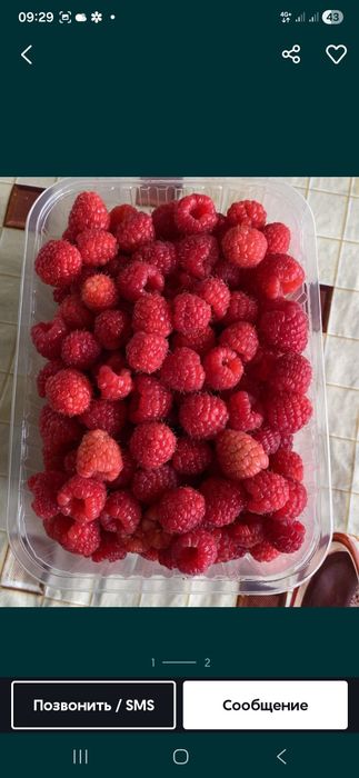 Продам Малину есть доставка