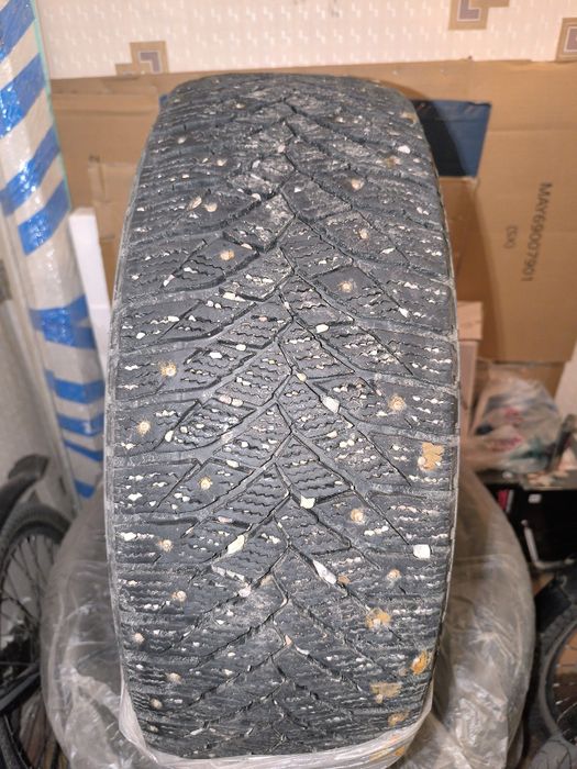 Шины зимние  Triangel