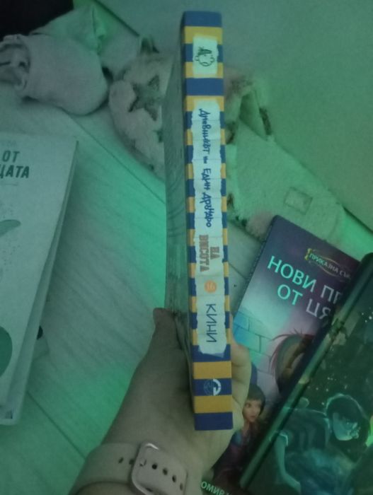 Дневника на един Дръндьо 16 част