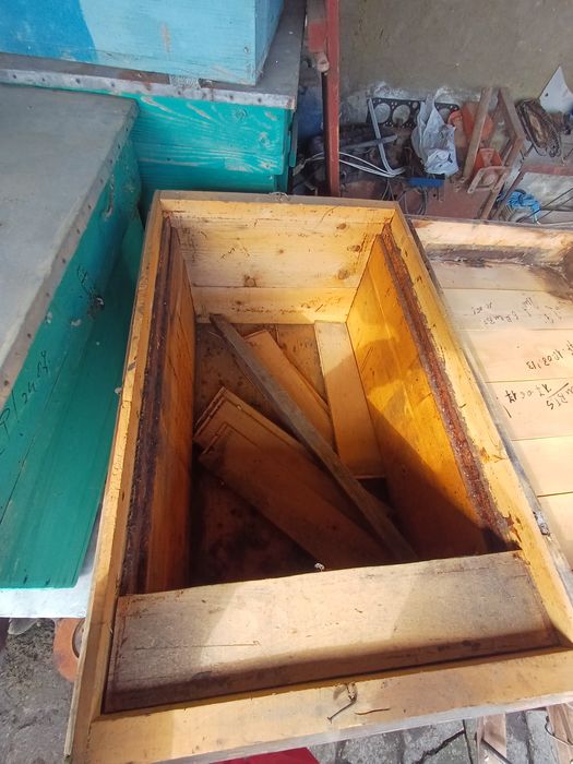 Vând stupi de albine