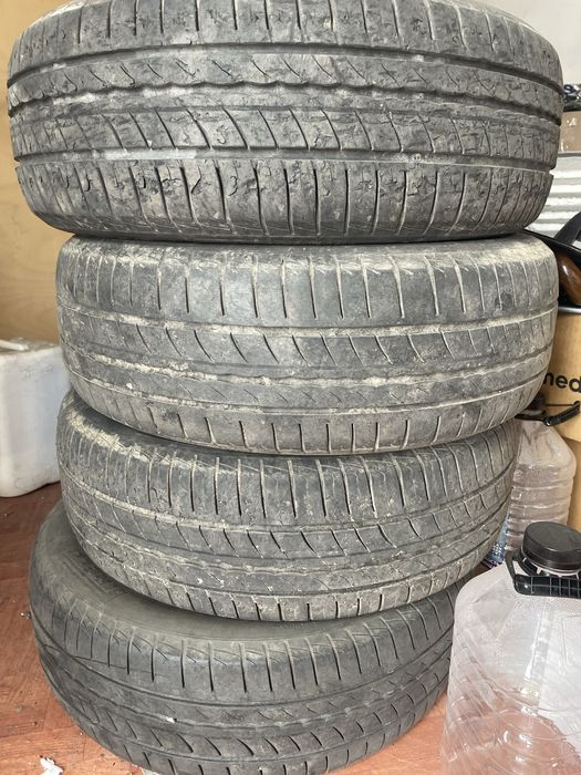 Летняя резина Pirelli