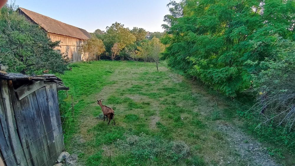 Casă de vânzare în centrul comunei Cojocna