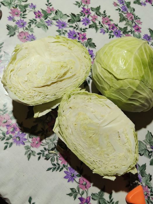 Varză cu frunză subțire