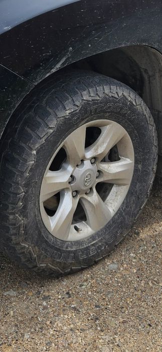 Летние шины Nokian