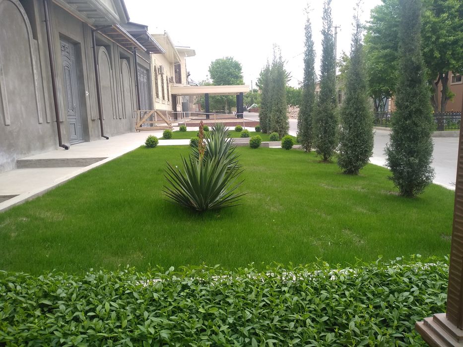 Газоны цветы деревья