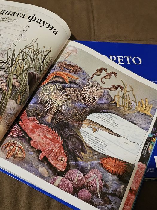 Комплект енциклопедии с твърди корици - "Морето" част 1 и част 2