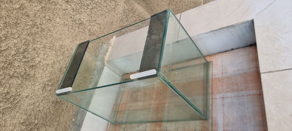 Аквариум или терариум