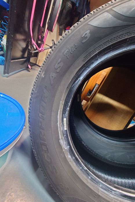 Pirelli Scorpion™ AS Plus 3