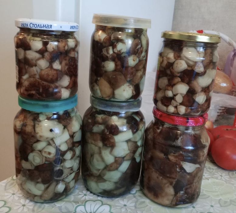 Продам соленые грибы валуи