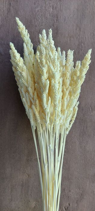 Колосья для интерьера. Сухоцветы.