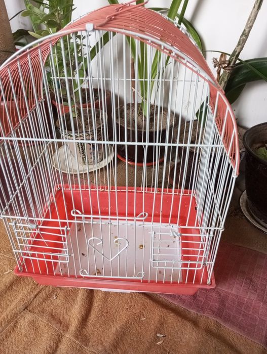 Клетка для птиц в хорошем состоянии