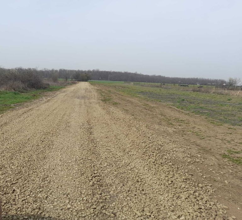 Vand teren  700mp Magurele Pruni, toate actele la zi, proprietar