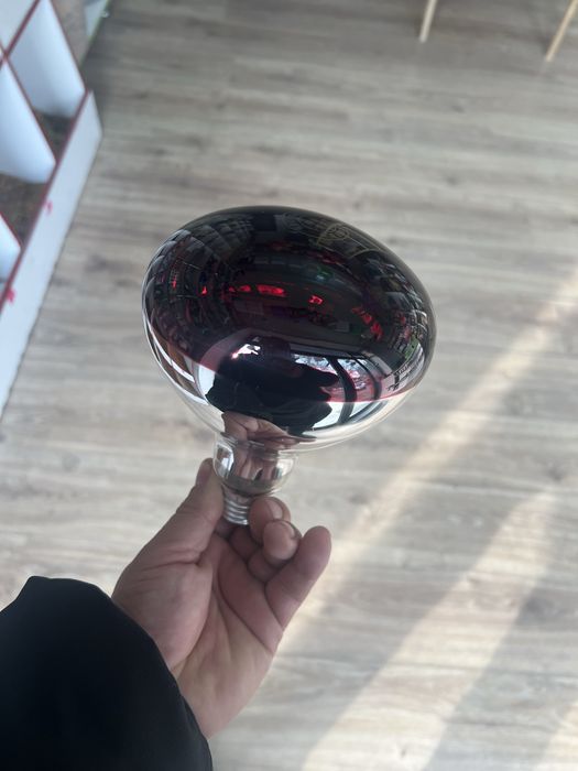 infraqizil lampochka