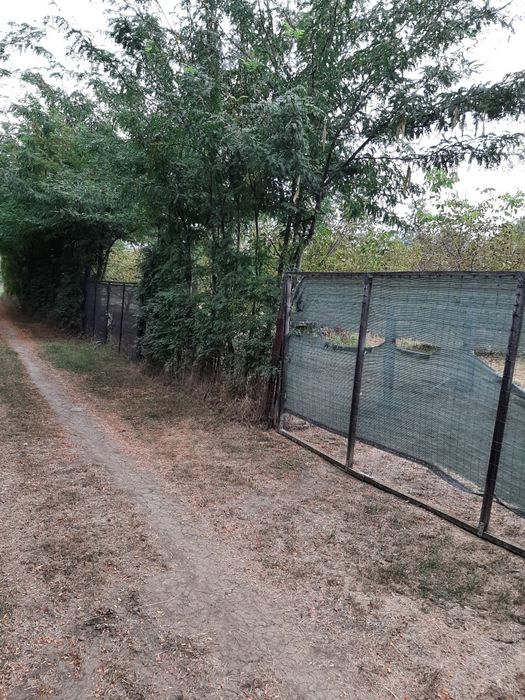 Teren str Casa Apelor