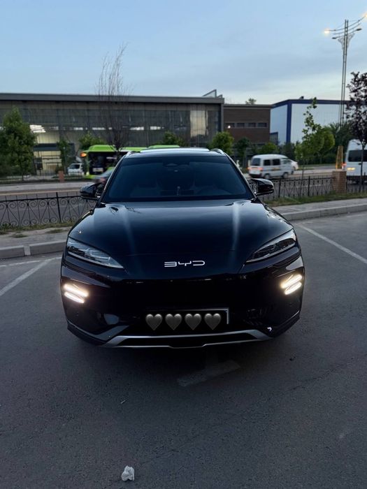 BYD chimpiyon xolati zor