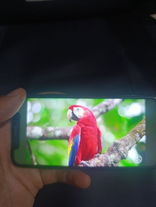 Iphone X , Айфон 10