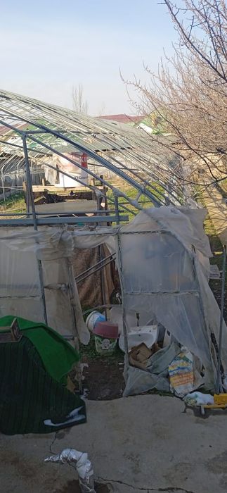 Теплица в хорошем состояние