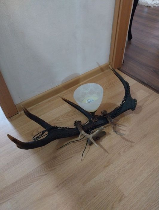 Lustra corn cerb si căprior, Zmeu Wepa  Flyer