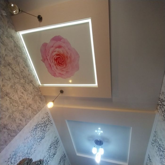 Natijnoy patolok xizmati Samarqand shahar bo'ylab