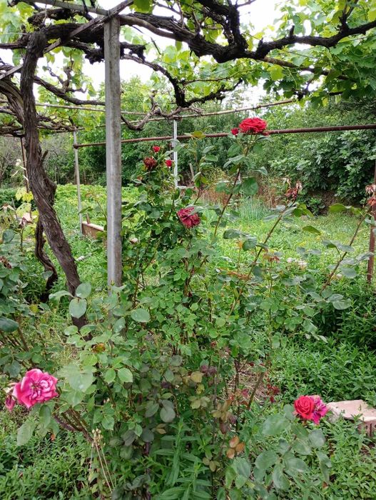 Продава се Къща в с. Стоил войвода, Област Сливен - 70 кв.м за 620 €/кв.м - Снимка #18