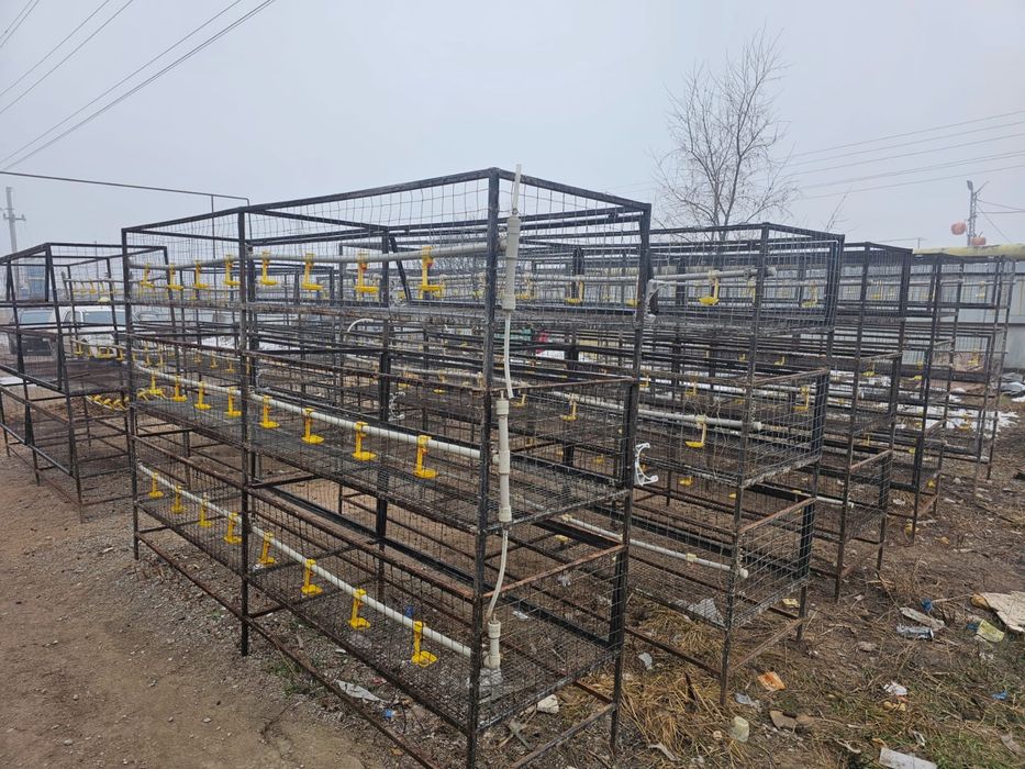 Клетки для кур металлические