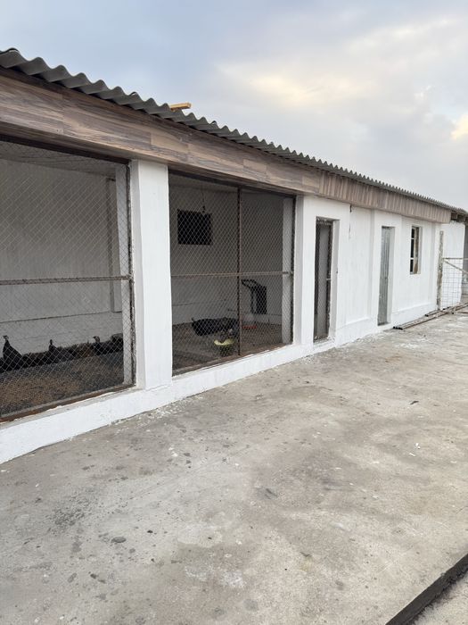 Қора сатылады жағдае жасалған