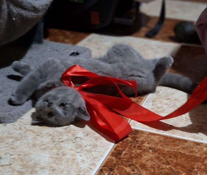 Страхотен британец