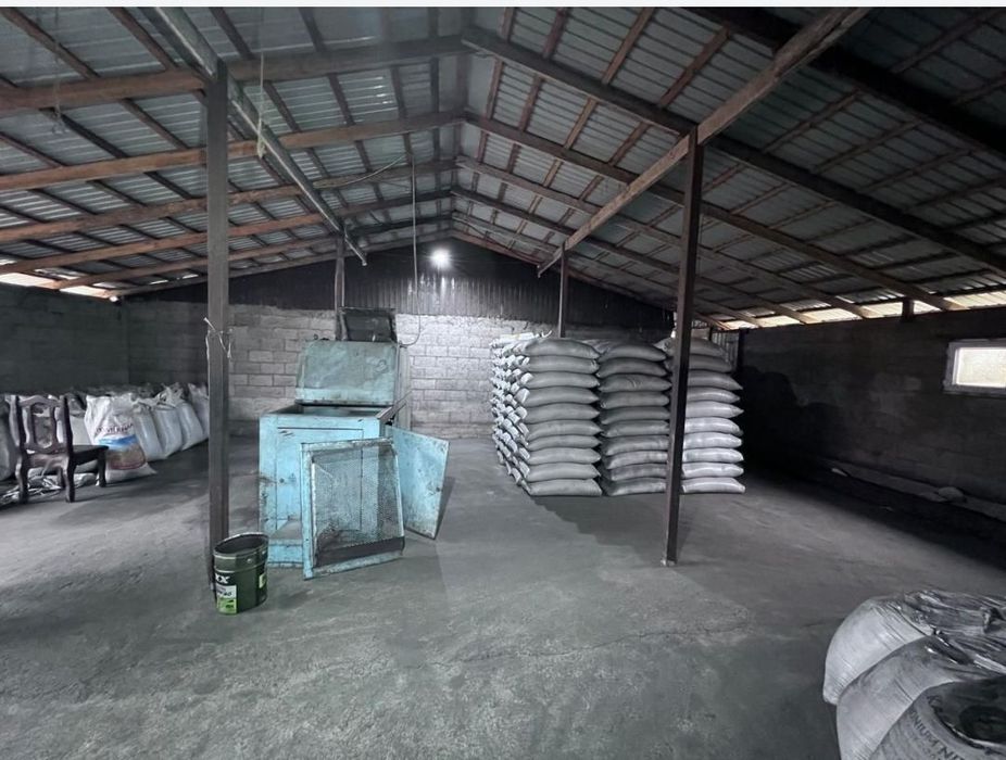 Семена люцерна Мерке