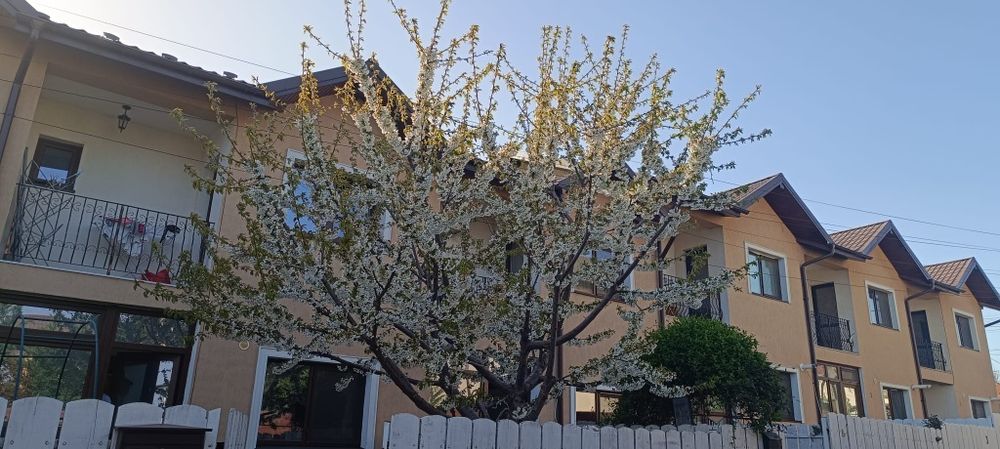 Închiriez casa insiruita 3 camere, 2 gradini, 2 locuri parcare