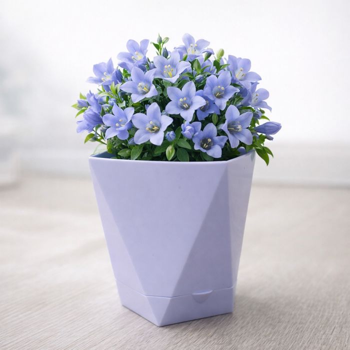 Гул тувак Пирамида N1 Тугридан тугри заводдан