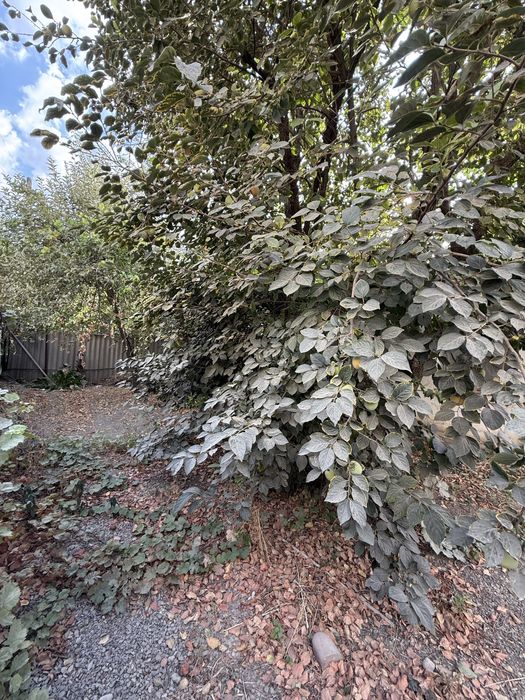 Продаётся дом 5,04 соток Янги Узбекистон, Геофизика, М. Улугбекский рн