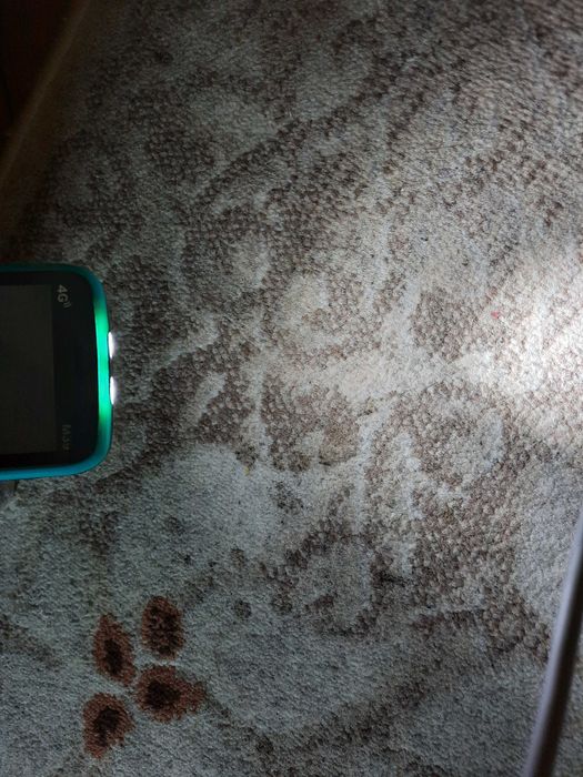 Tel. cu butoane și touchscreen, multe funcții bune,lanternă foarte bună spre exemplu!