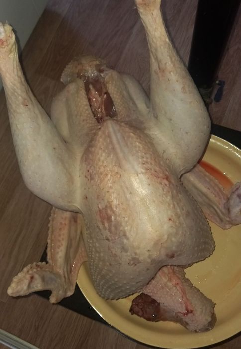 Мясо индюка индюшатина