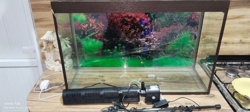 Продаются аквариум с крышкой