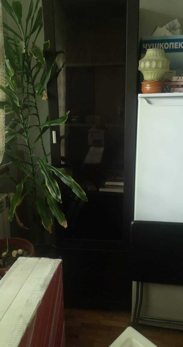 Холна сеция много запазена