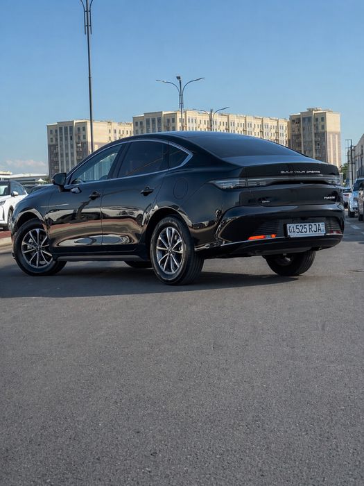 BYD Chazor 2025 — 3