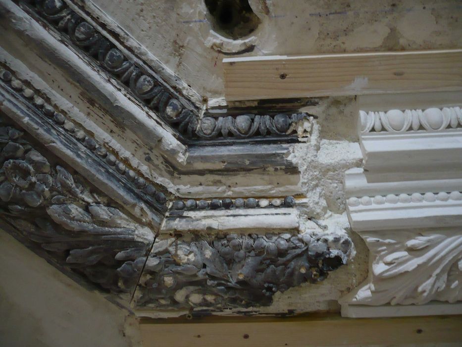 Restaurari , renovari case / elemente decorative, pictura / finisaje speciale