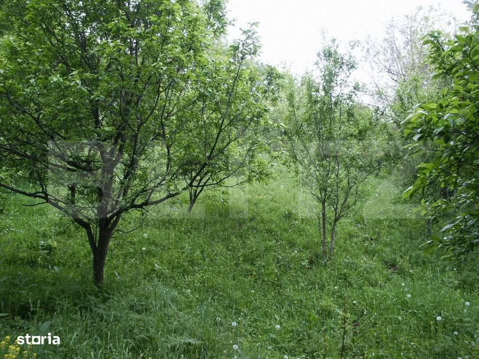 Teren de vanzare, 884 mp, zona Runcu