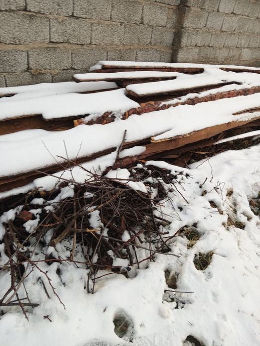 Кругляк ағаштар сатылады.