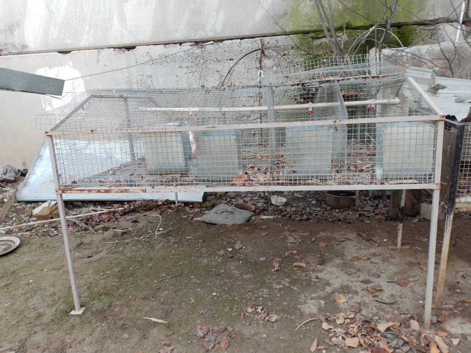Клетка для кроликов
