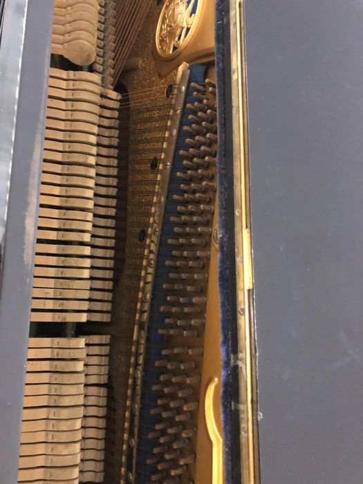 Pianină Riese–Hallmann, Berlin – pian clasic german