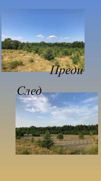 Почистване на терени с горски мулчер