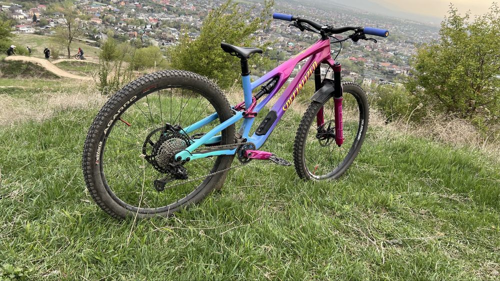 Велосипед Specialized Stumpjumper EVO Custom Carbon S4 (L)