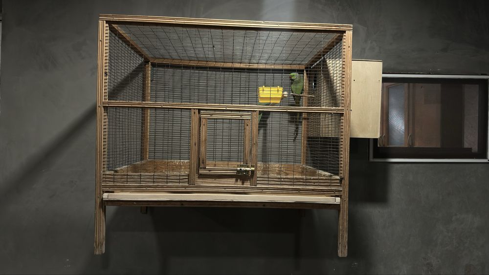 Клетка для крупных попугаев