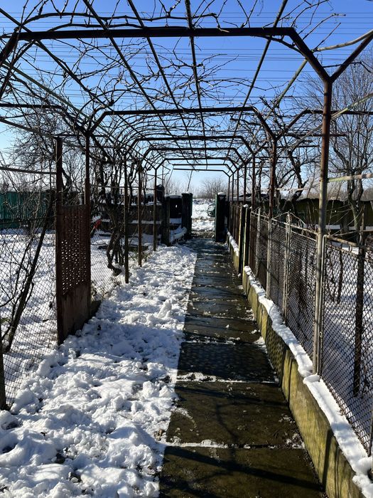 Casă de vânzare Vișina-Olt