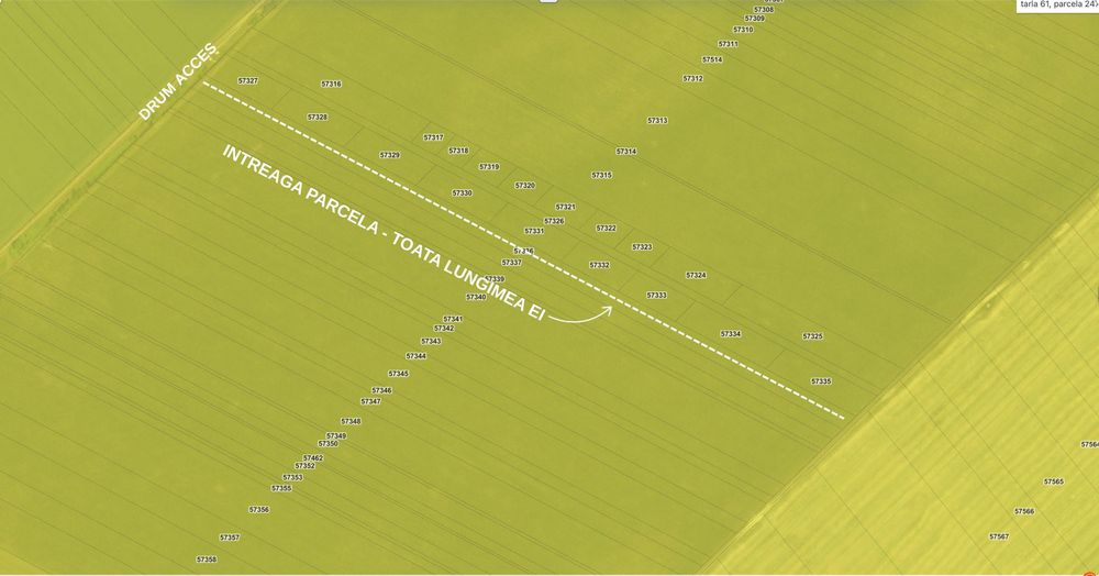 Teren 35.900 mp cu 5 €/mp – Petrăchioaia, Ilfov – Preț Excelent!