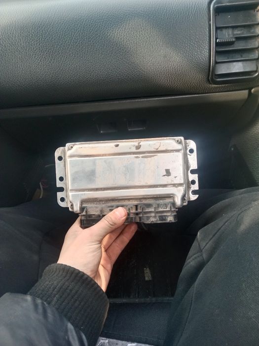 Эбу(Мозги) Январь 7.2