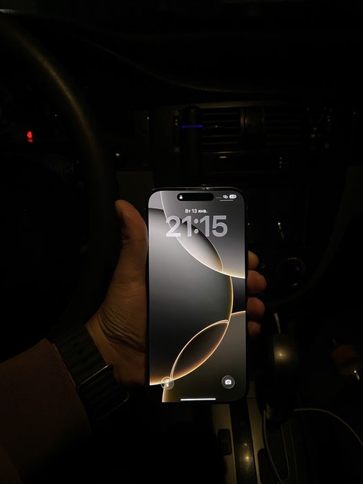 IPhone 16 Pro Max 256 GB